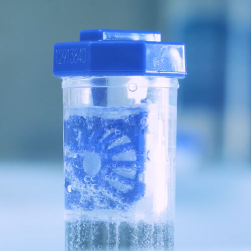 Leče namočene v mehurčkasti peroksidni raztopini