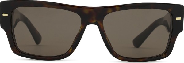 Dolce & Gabbana 0DG 4451 502/73 55