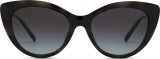 Emporio Armani EA 4213U 50171W 53 (sončni klip) 36744