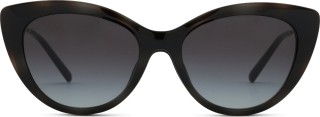 Emporio Armani EA 4213U 50171W 53 (sončni klip) 36744