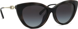 Emporio Armani EA 4213U 50171W 53 (sončni klip) 36745