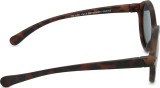 Izipizi Sun Baby #D Tortoise (za starost 0–3 let) 47157