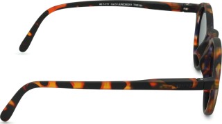 Izipizi Sun Junior #D Tortoise (za starost 7 - 11 let)