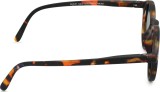Izipizi Sun Kids #D Tortoise (za starost 3–5 let) 47175
