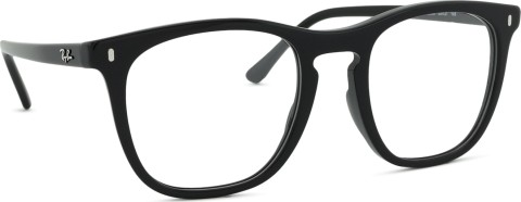 Ray-Ban 0RX2210V 2000