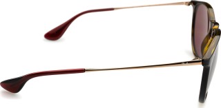 Ray-Ban Erika RB4171 639175 54
