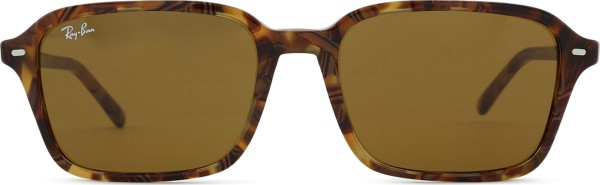 Ray-Ban Raimond RB2231 141833