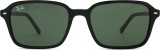 Ray-Ban Raimond RB2231 901/31 56 37454