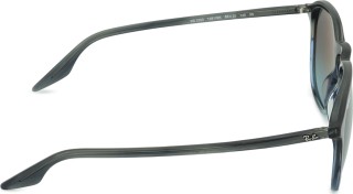 Ray-Ban RB2203 1391GK 43379