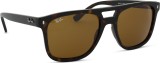 Ray-Ban RB2213 902/33 58