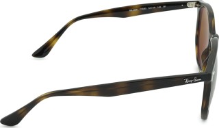 Ray-Ban RB4306 710/83 54