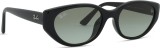 Ray-Ban RB4457D 667711 55