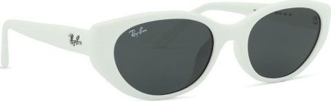 Ray-Ban RB4457D 677287 55